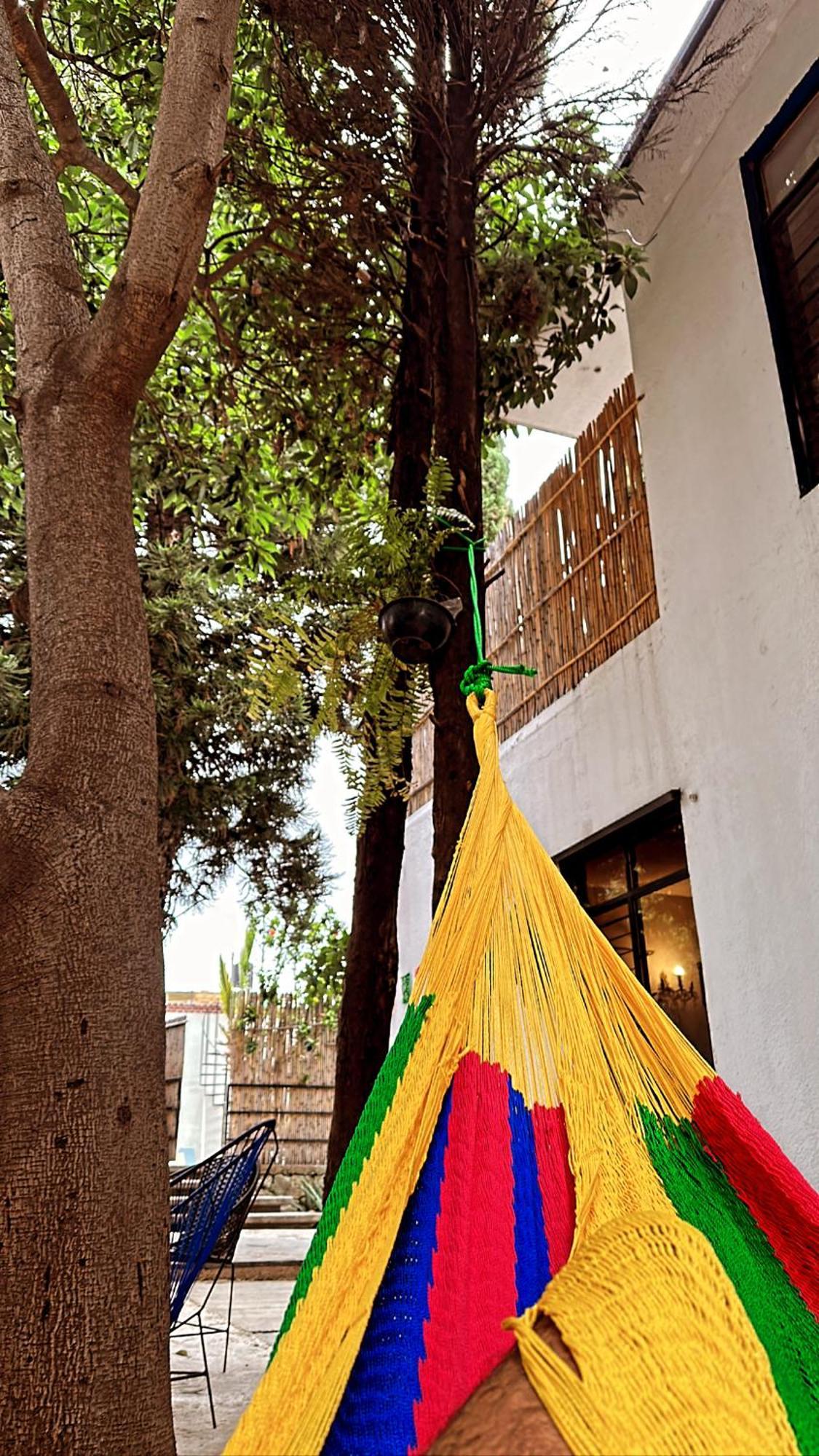 Xitla Hostel Oaxaca ภายนอก รูปภาพ